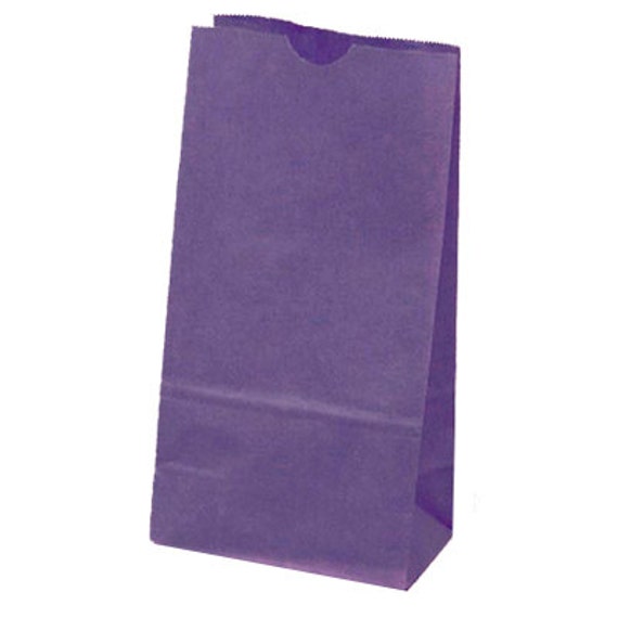 Purple Paper BagsFavor BagsMerchandise BagsSet of 10