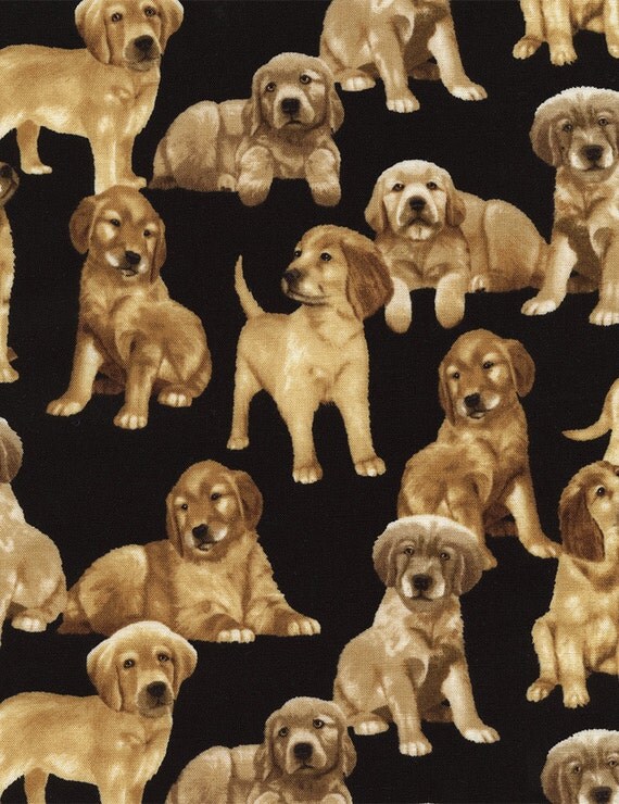 Golden Retriever Dog Fabric Golden Puppy Timeless Treasures