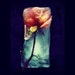 shelllovesmusic
