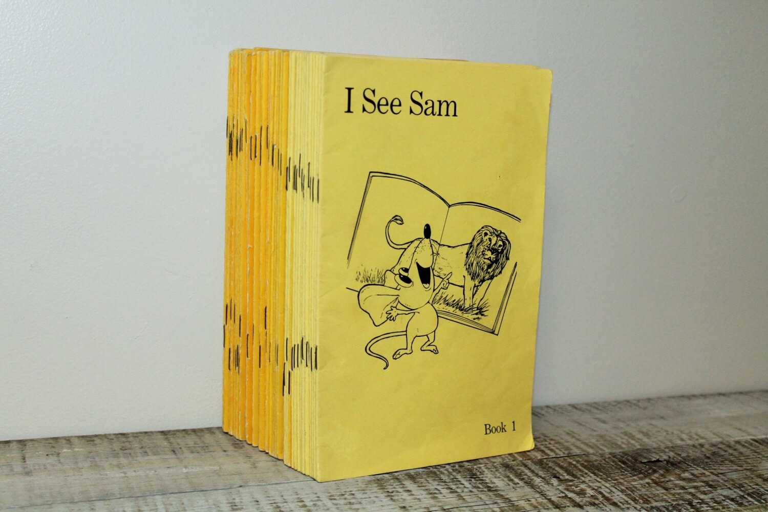 Vintage I See Sam Early Reader Books By SWRL 1972. Set of 48