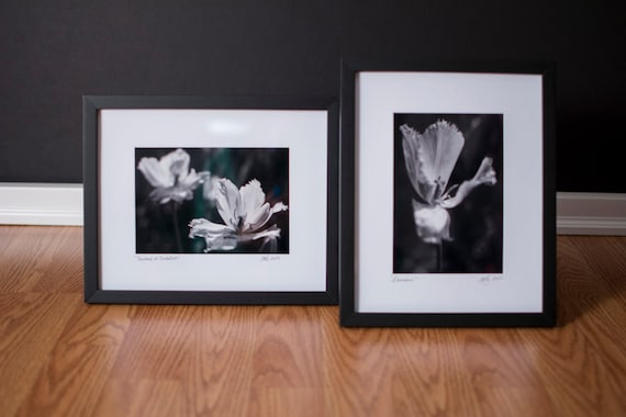 Items similar to Nature Photography | Black and White Framed Prints on Etsy