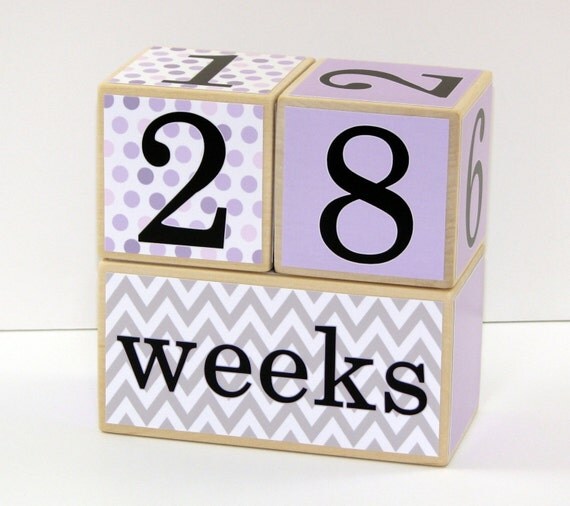 Baby Girl Age Blocks LARGE Baby Month by CoconutHutBoutique