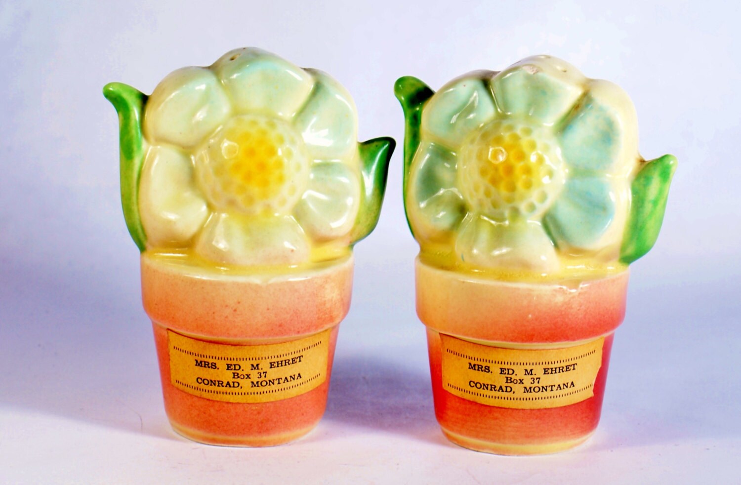 Flower Pot Salt Pepper Shakers Shawnee 2 Kenneywood Park Pair Vintage