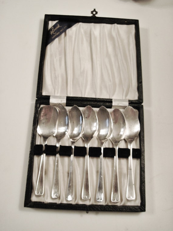 Raimond Silver Plated Grapefruit Spoon Boxed Set by CrystalCoaster