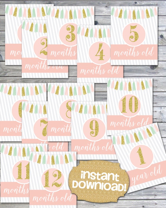 INSTANT DOWNLOAD Baby Month Signs Girl Milestone by JanePaperie