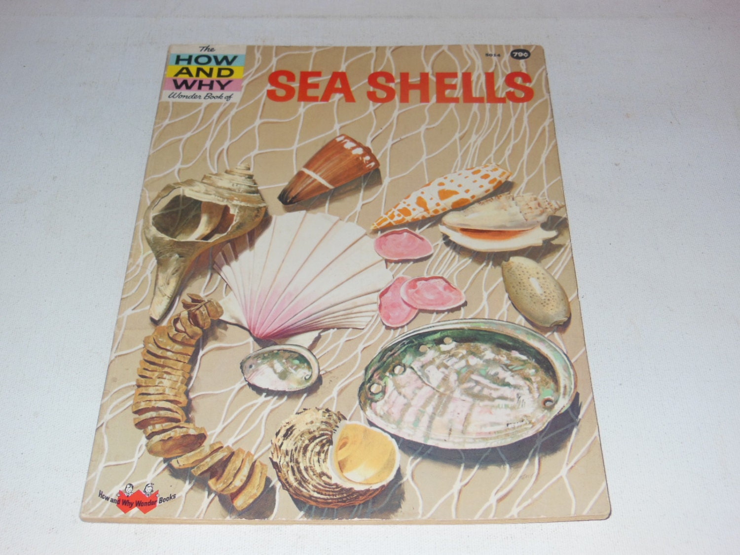 Vintage The How And Why Wonder Book Of Sea Shells Softcover