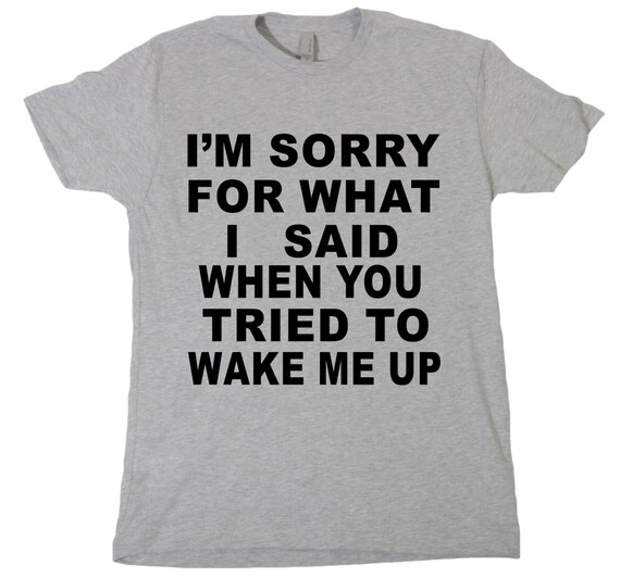 I'm Sorry For What I Said When You Tried To Wake Me Up