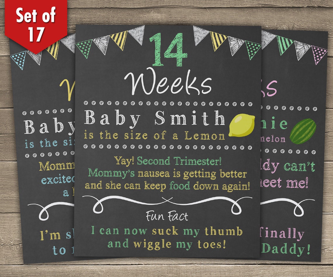 BiWeekly Pregnancy Countdown Chalkboard Pregnancy Countdown