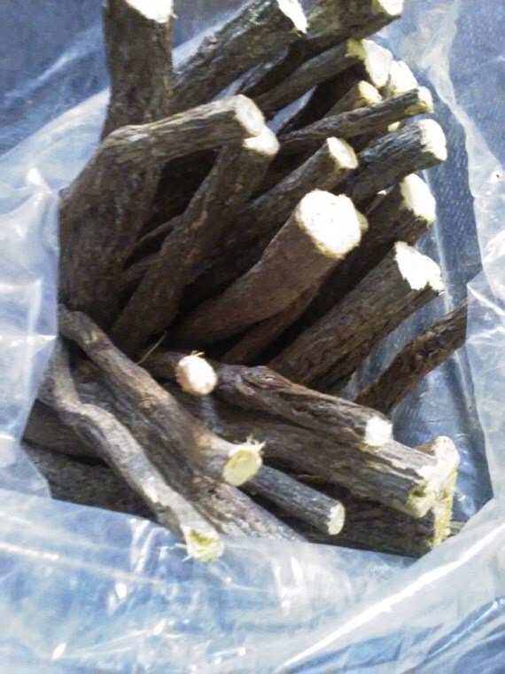  5 licorice  roots chew sticks by IMYSTIK on Etsy