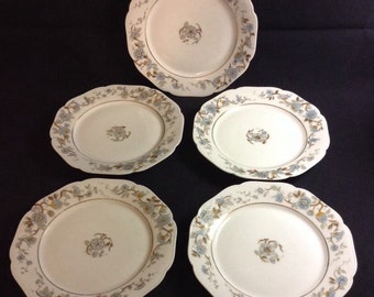 Haviland Limoges Plates Set Of 5
