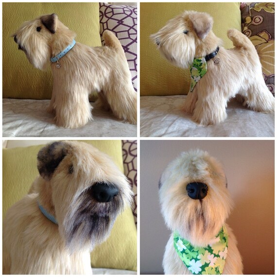 plush wheaten terrier