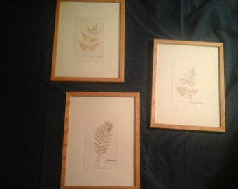 Popular items for framed botanicals on Etsy