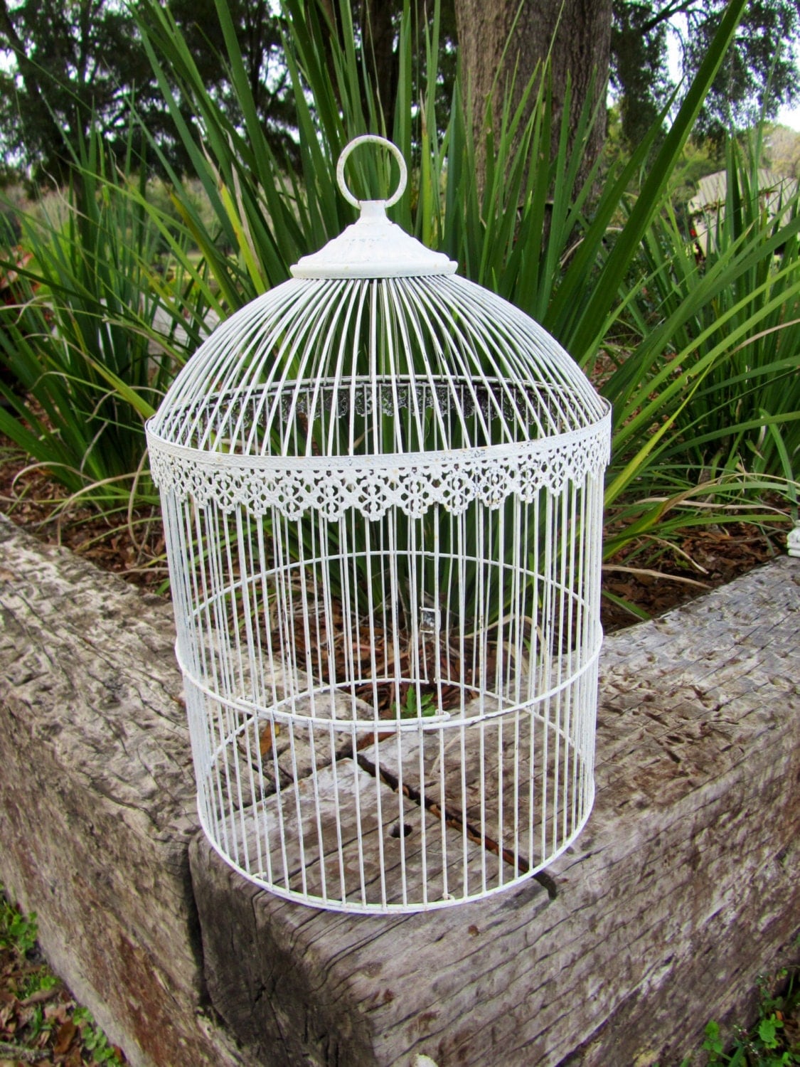 Vintage White Domed Metal Bird Cage / by DebsGROOVYtreasures