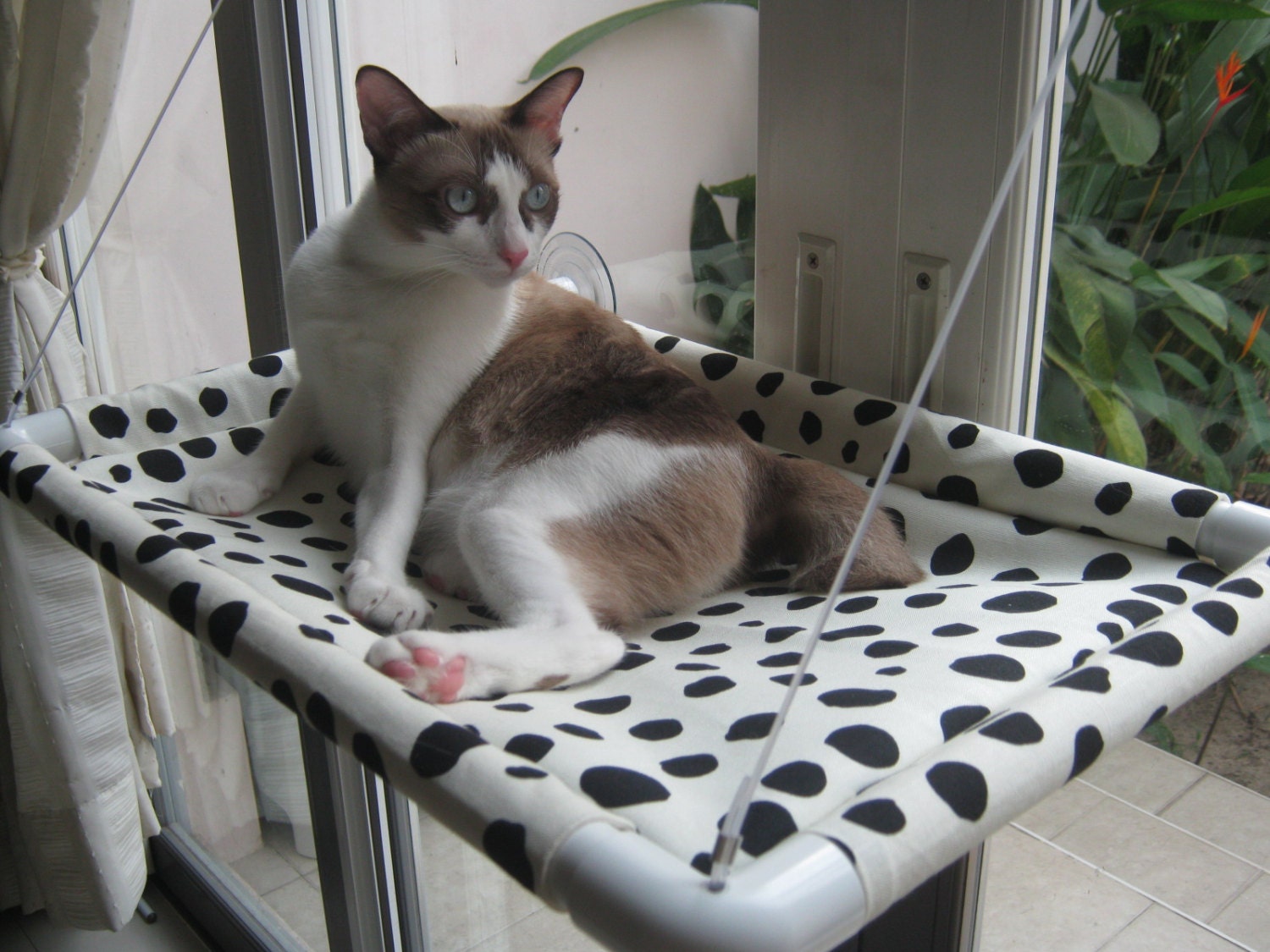 Window Cat Bed Cat Bed Cat Cot Cat Hammock Pets Bed Small