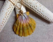 Sunrise shell necklace on gold filled satellite chain 18