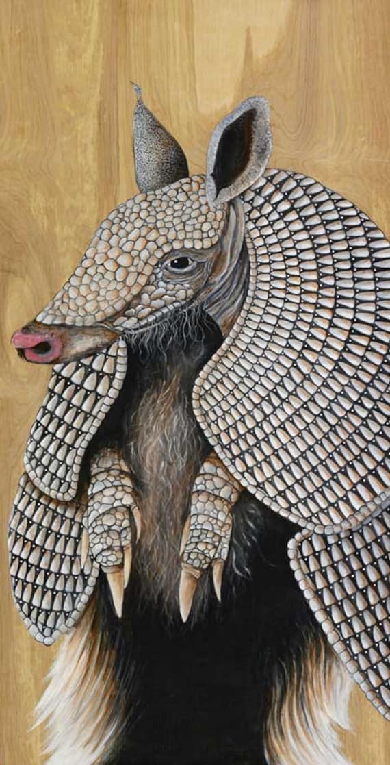 Armadillo Art Print Limited Edition Armadillo Giclee Artwork