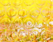 Dandelion Refraction Photo - Nature Art Photography - Sunny Summer Yellow - Wall Art
