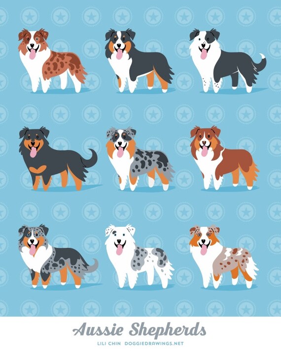 Aussie Shepherds art print