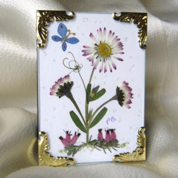 Mixed Media Pressed Flower Original by PatsysPressedFlowers
