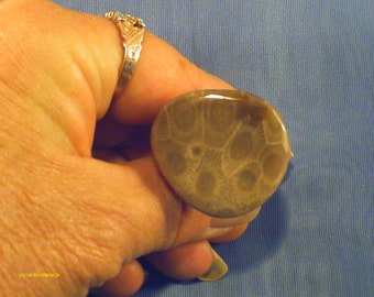 SALE INVENTORY REDUCTION! Medium Teardrop Petoskey Stone Cabinet Knob from Michigan