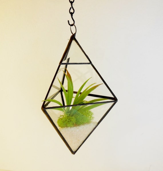 Items Similar To Hanging Terrarium Glass Terrarium Geometric Shape Plant Holder Wedding T 4724