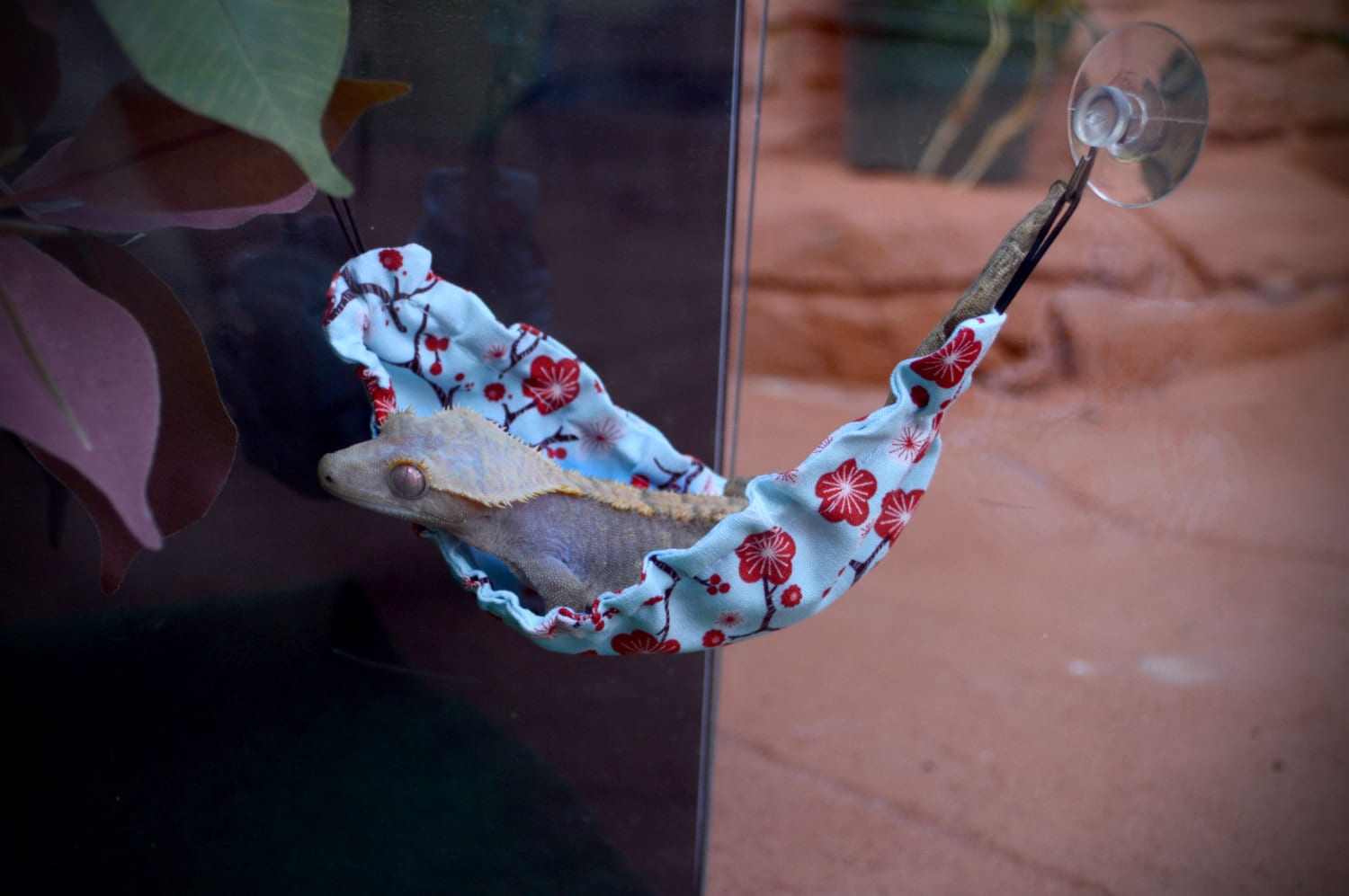 Gecko/Lizard Hammock by LittleArtMonsterr on Etsy