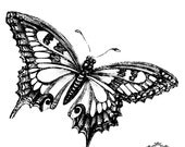 Beautiful Black and white Butterfly, Body Art, Wickedly Lovely Skin Art Temporary Tattoo,