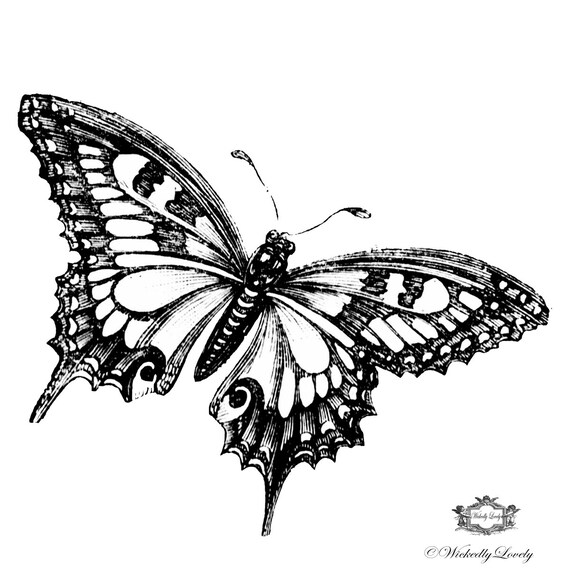 beautiful black and white butterfly butterfly tattoo body beautiful black and white butterfly butterfly tattoo body