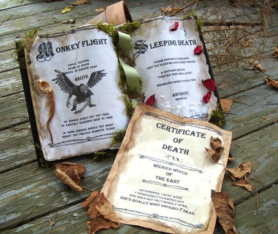 Wizard of Oz SPELL BOOK and Wicked Witch Death CERTIFICATE