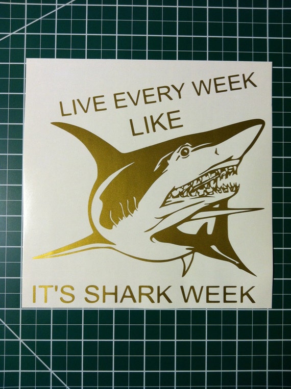 live every week like shark week shirt