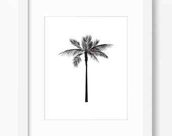 Palm Tree Print Black and White Palm Tree Poster Print Palm