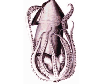Vintage Squid Cross Stitch Pattern