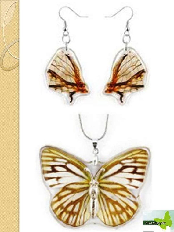 wings Beautiful Earrings Butterfly  set butterfly make Necklace to how and resin Real