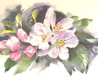 Apple Blossom Watercolour Painting