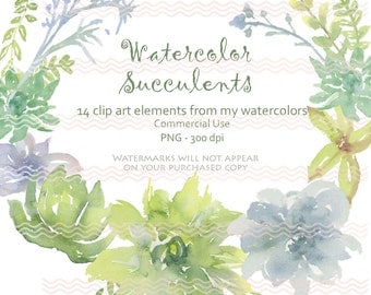 Digital Soft Watercolor Succulents Clip Art Card Making Invites Scrapbooking Commercial Use PNG 300 DPI
