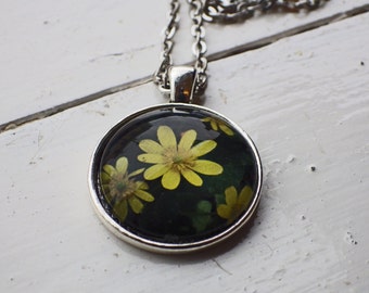 Flowers of Ireland Necklace -- Pilewort