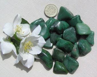 12 Green Buddstone (African Jade) Small Crystal Tumblestones, Green Crystals, Crystal Collection, Meditation Stone, Worry Stone, Verdite