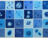 Big Blue Mitosis  - original watercolor of cell division