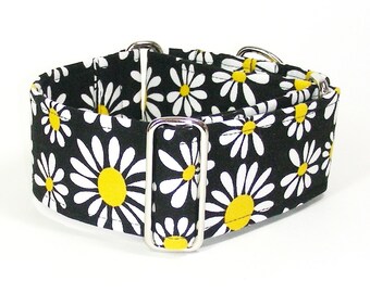 Daisies on Black, 2 Inch Martingale Collar, Sighthound Collar, Galgo Collar, Greyhound Martingale, Hound Collar, Black Collar, Floral Collar
