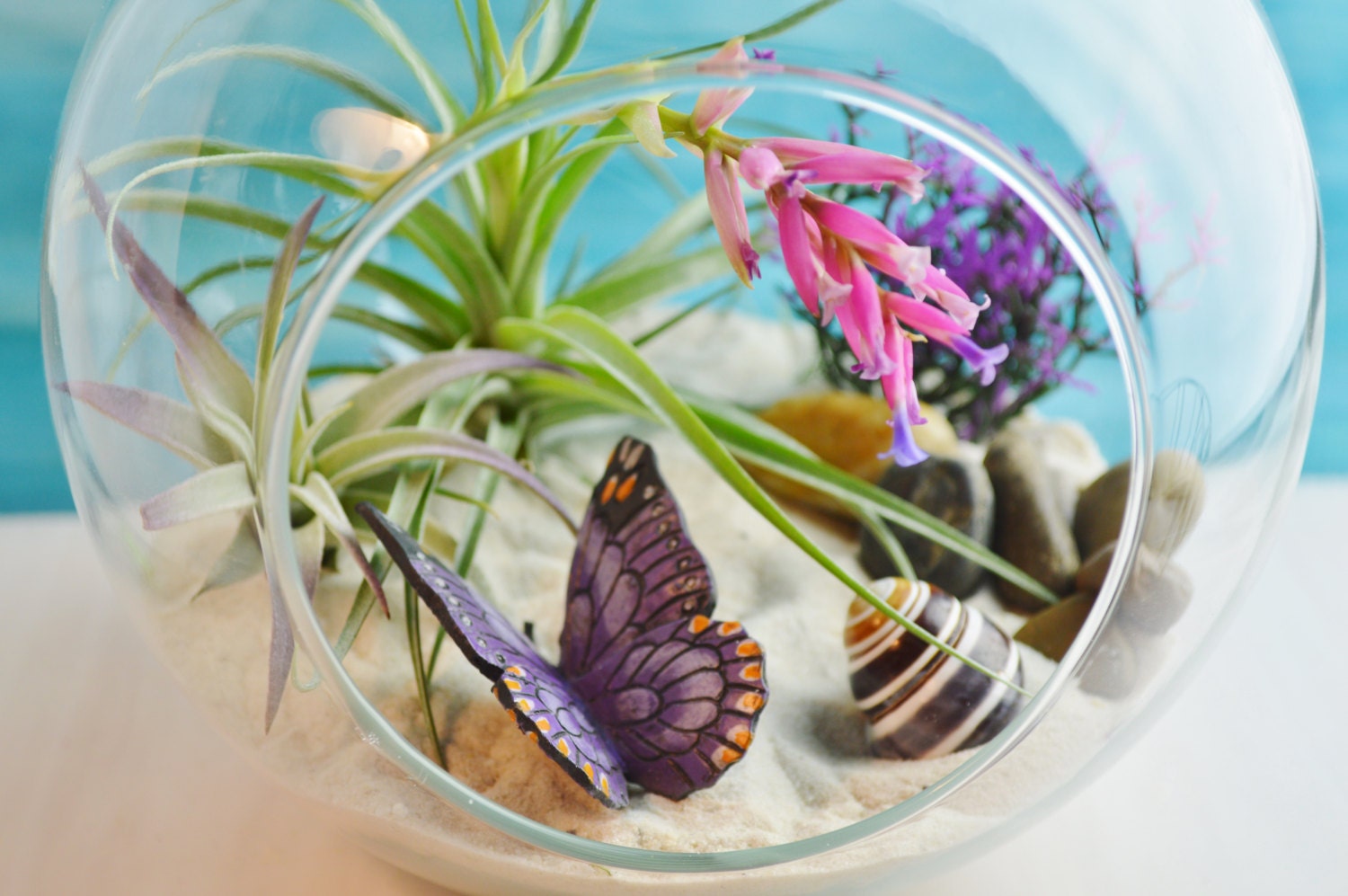 Butterfly Garden Terrarium Large Glass Terrarium Kit