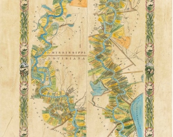 107 Mississippi River Plantation Map 1858 36" x 57" vintage historic antique map original painting or print by Lisa Middleton