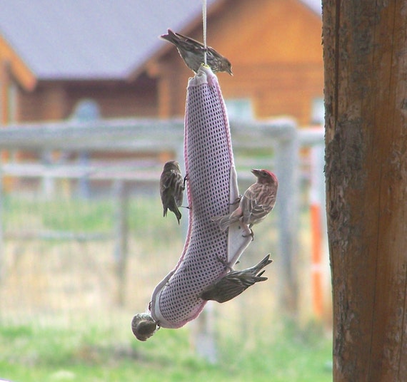 items similar to soft pink finch sock mesh bird feeder items similar to soft pink finch sock mesh bird feeder
