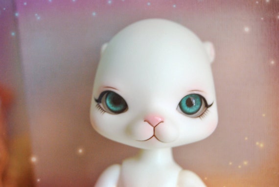 bjd pet