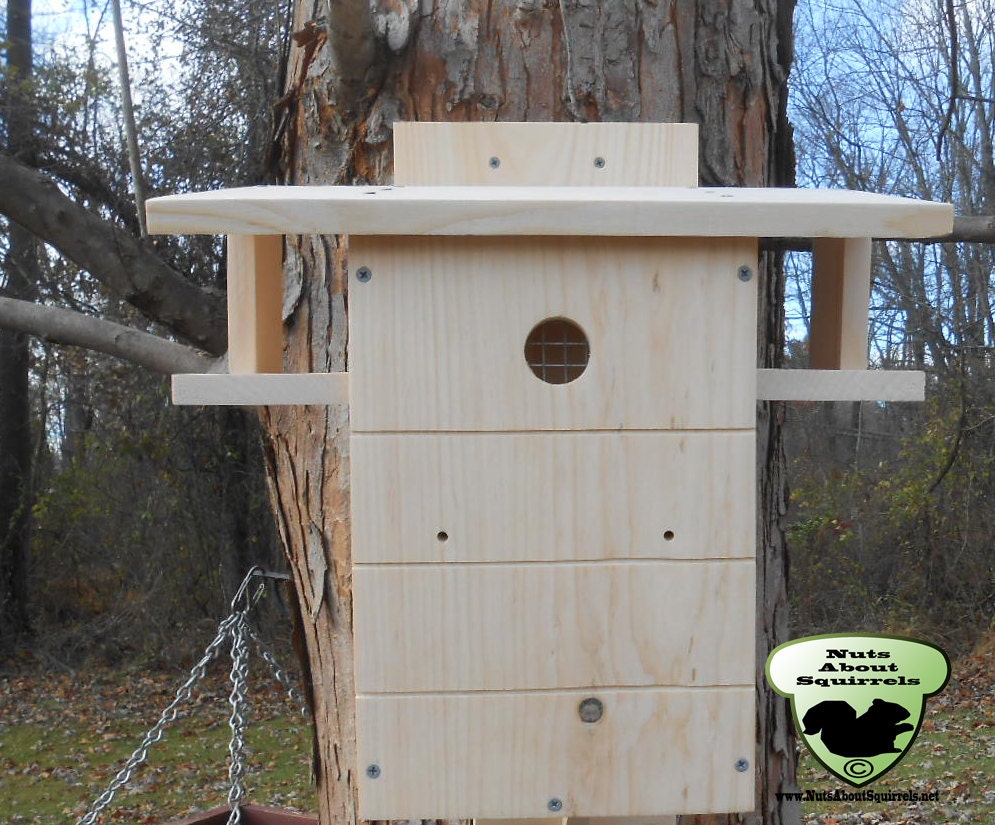 Squirrel Condo 3 by NutsAboutSkwerls on Etsy