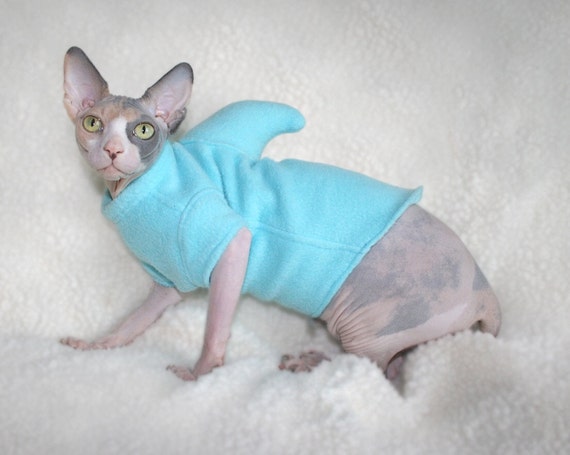 Shark Costume Aqua Kitten Shark Cat Sweater Youth by SimplySphynx