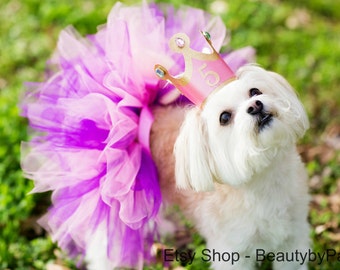 Dog Birthday Princess Tutu and Crown- Not a One Size Fits All! Read Description for size!