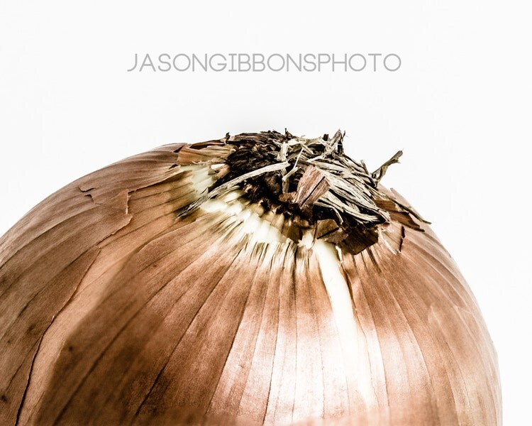 Onion Photography Food Photo Wall Art Kitchen by JasonGibbonsPhoto