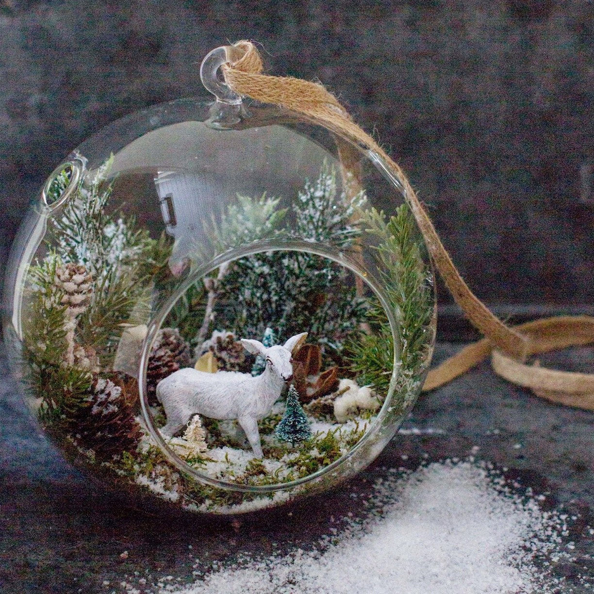 Clear Hanging Globe Glass Terrarium Air Plant Home Garden