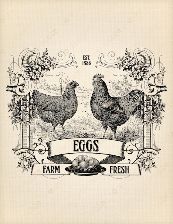 instant-download-printable-farm-fresh-eggs-by-projectprintable
