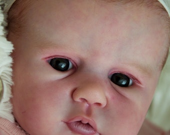 Custom LDC SILICONE SIMILAR reborn Birdie